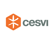 Cesvi